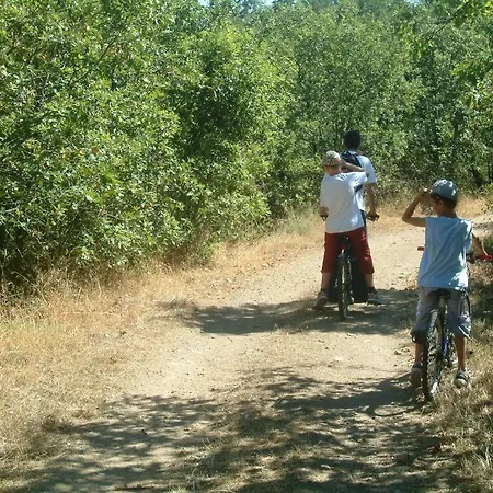 Le Panorama - D'hôtes - Cuisine Disponible Couette-café Vieille-Brioude