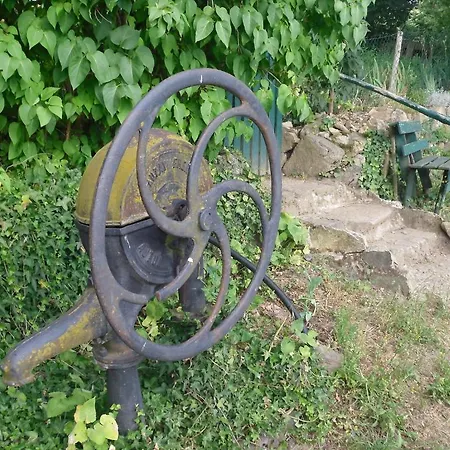 Le Panorama - D'hôtes - Cuisine Disponible